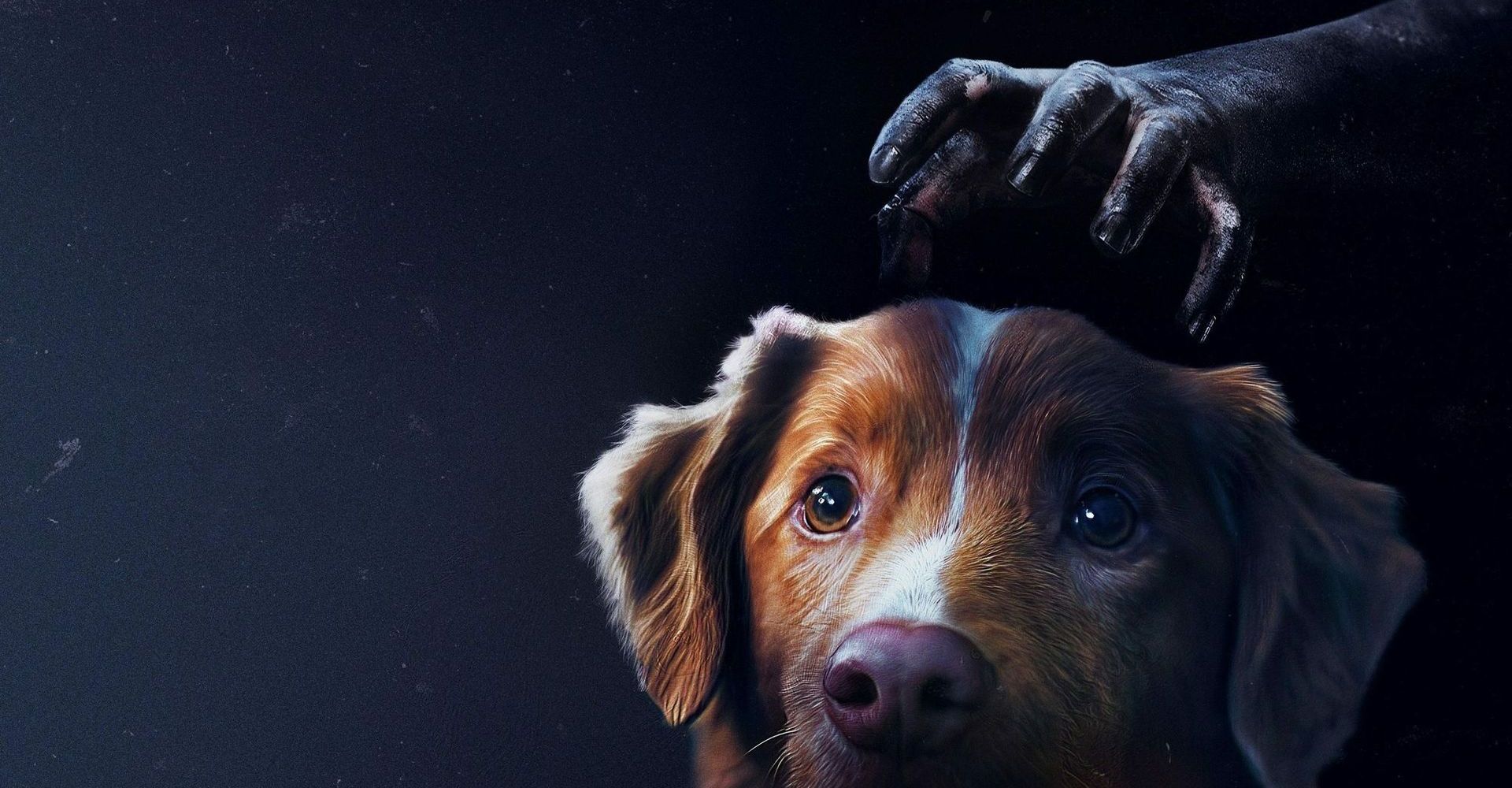 Good boy 0 90447d5913832275e1405a86d2e8d52c 0