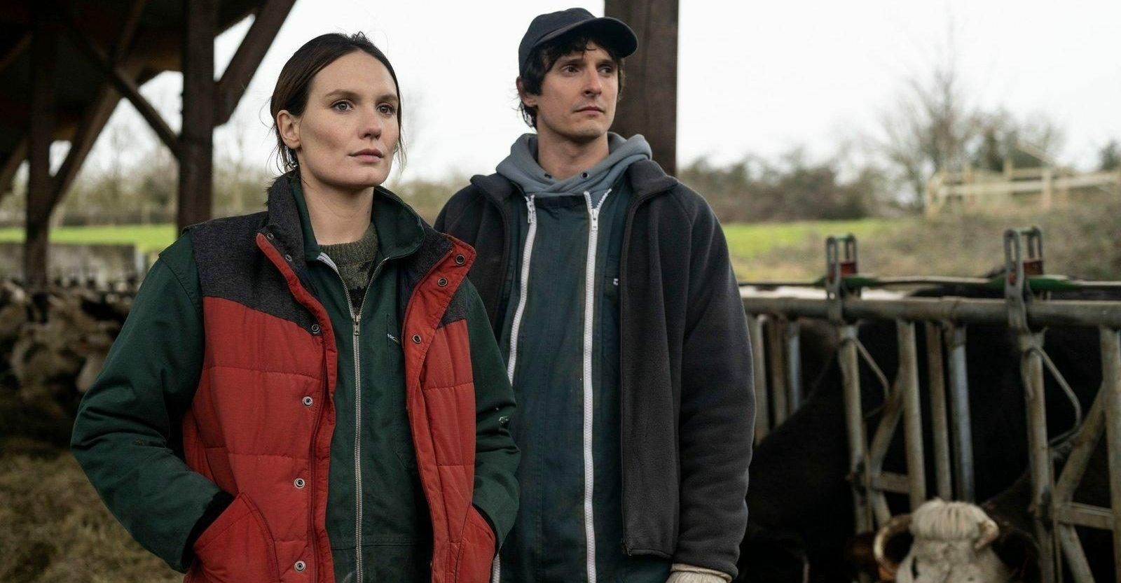 La guerre des prix 0 d420a612fa7fb6a4d50d1df07e49a2b2 0