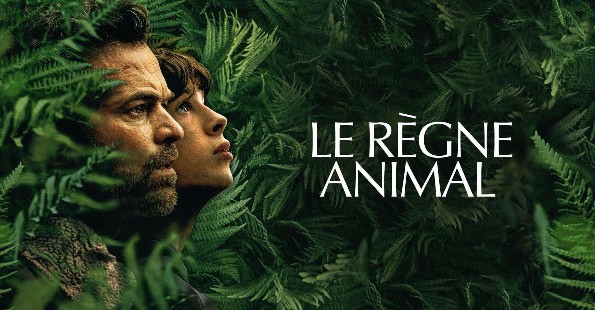 Le regne animal 0 442dfd95ad9a71e23aa25081fdbec5d7 0