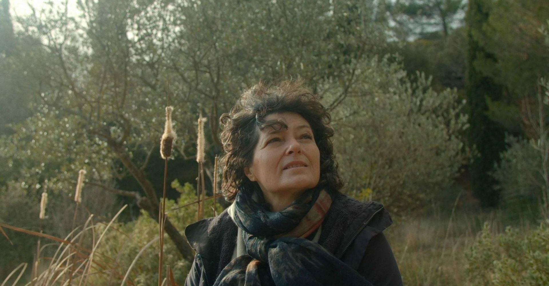 Leclipse de la lune rouge 0 c4097c0f978e461a73140995d29d5925 0