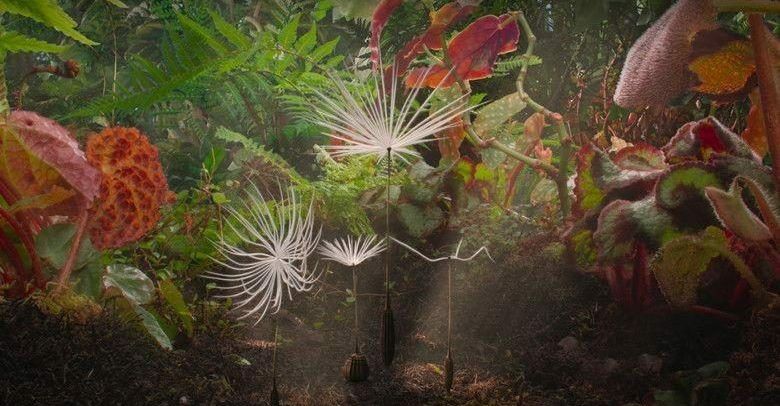 Planetes 0 841798af9c1e9729deac793b4bbb30ed 0