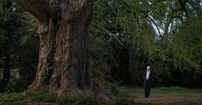 Silent friend 0 e2b9f1bfcf05841b502992986e427263 0