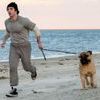 I play rocky 0 3f0201f373522f4f4311ae6638c592b4 0