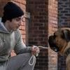 I play rocky 0 9ae34d1e5366a6faf05a82c5df004b14 0
