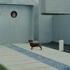 Mon oncle 0 a4bfcdf6d8a7f68c037f3c527a7f7aa5 0