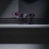 The amazing digital circus acte final 0 dd32eecc9dedefb25f8c05266fa3096c 0