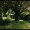 Vivre encore 0 b34f267fd2a6d0d89343de362ffcf4eb 0