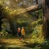 Wildwood la prophetie de la foret 0 6de9aedb9c03f6851058c7cf29e93e12 0