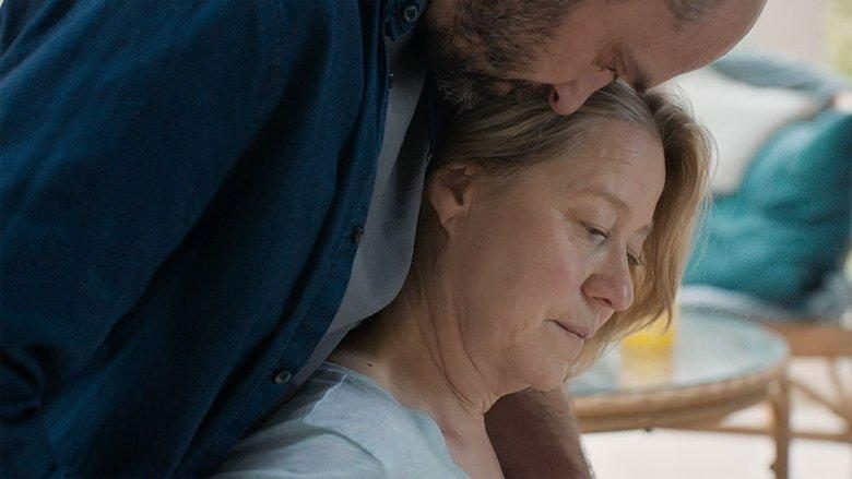 Beginnings 0 c6ff56668e75c78edb91f19fcb1e7f15 0