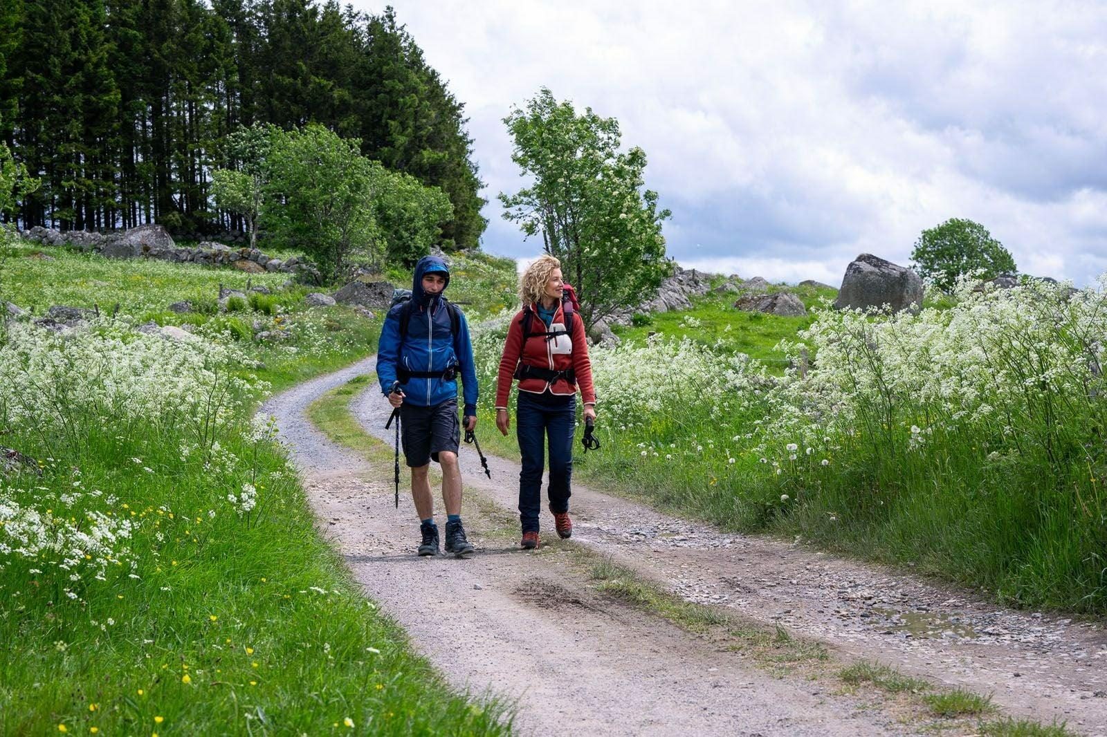 Compostelle 0 540dc81a0fca6ab1c1a6718caecce187 0