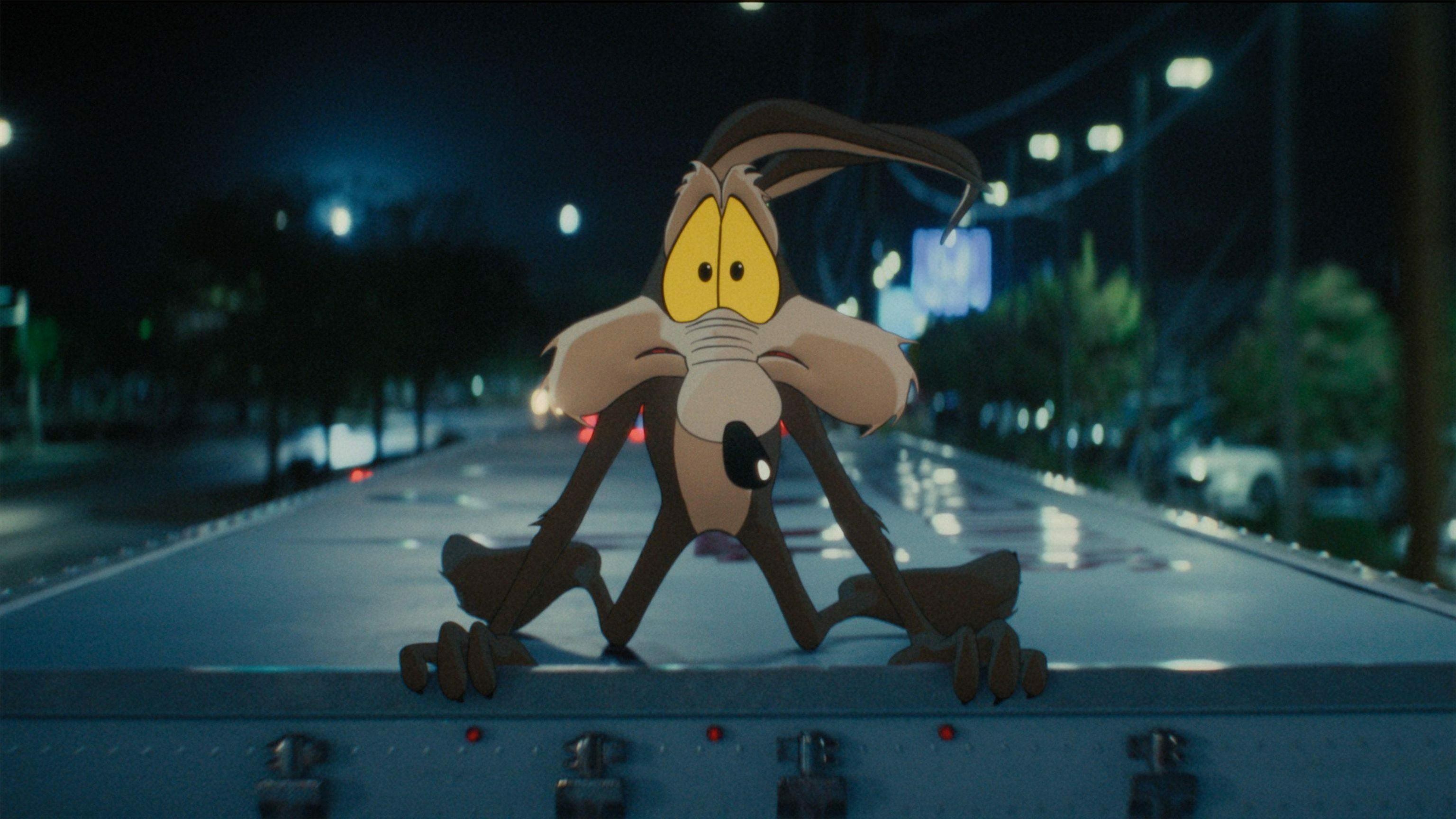 Coyote vs acme 0 5b185b5dbdabb6f4552f7013fc4f869d 0