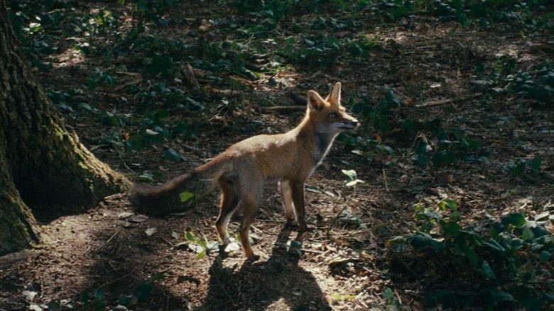 La danse des renards 0 147069c6c7d84541b3d8e7df9e377b5e 0