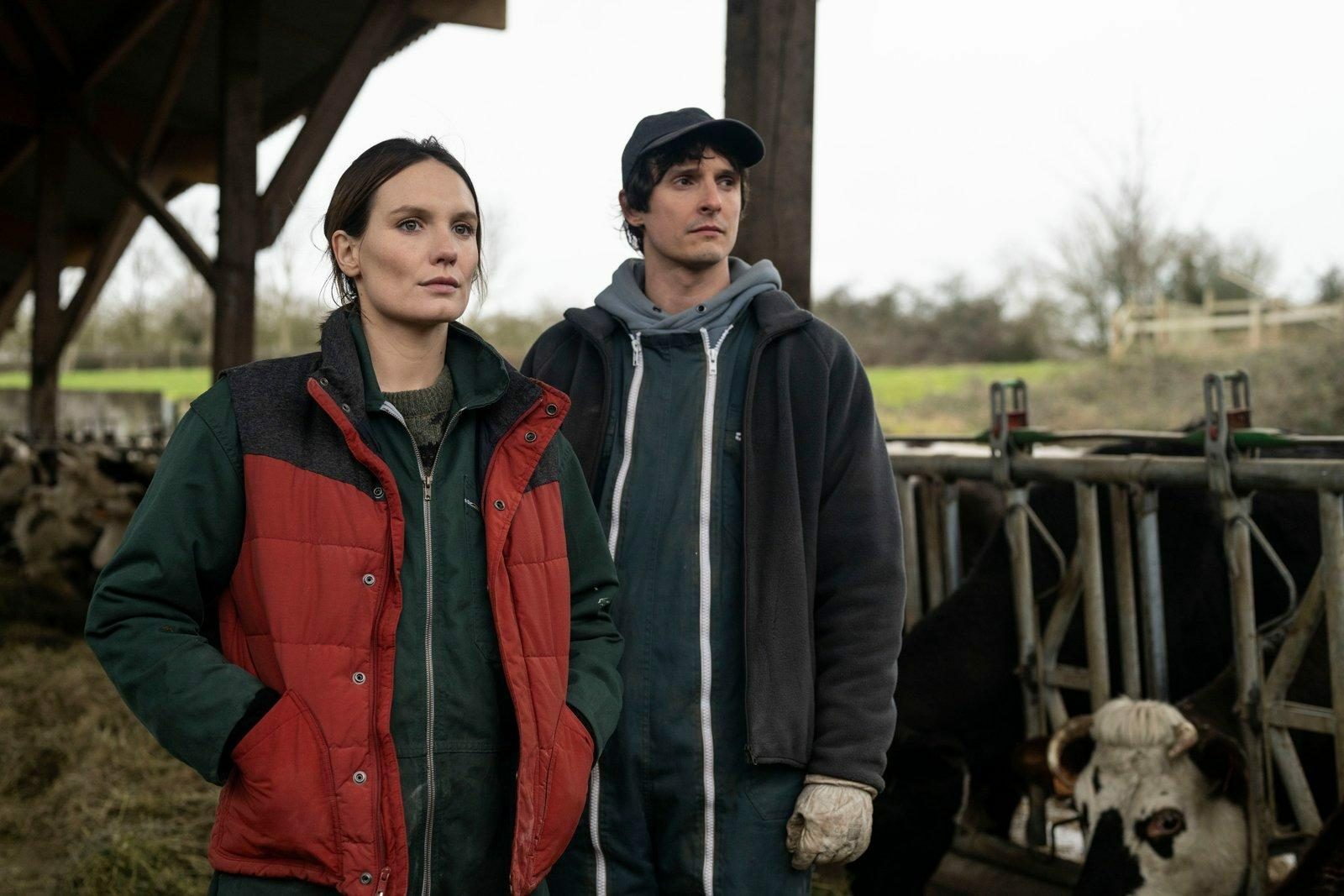 La guerre des prix 0 d420a612fa7fb6a4d50d1df07e49a2b2 0