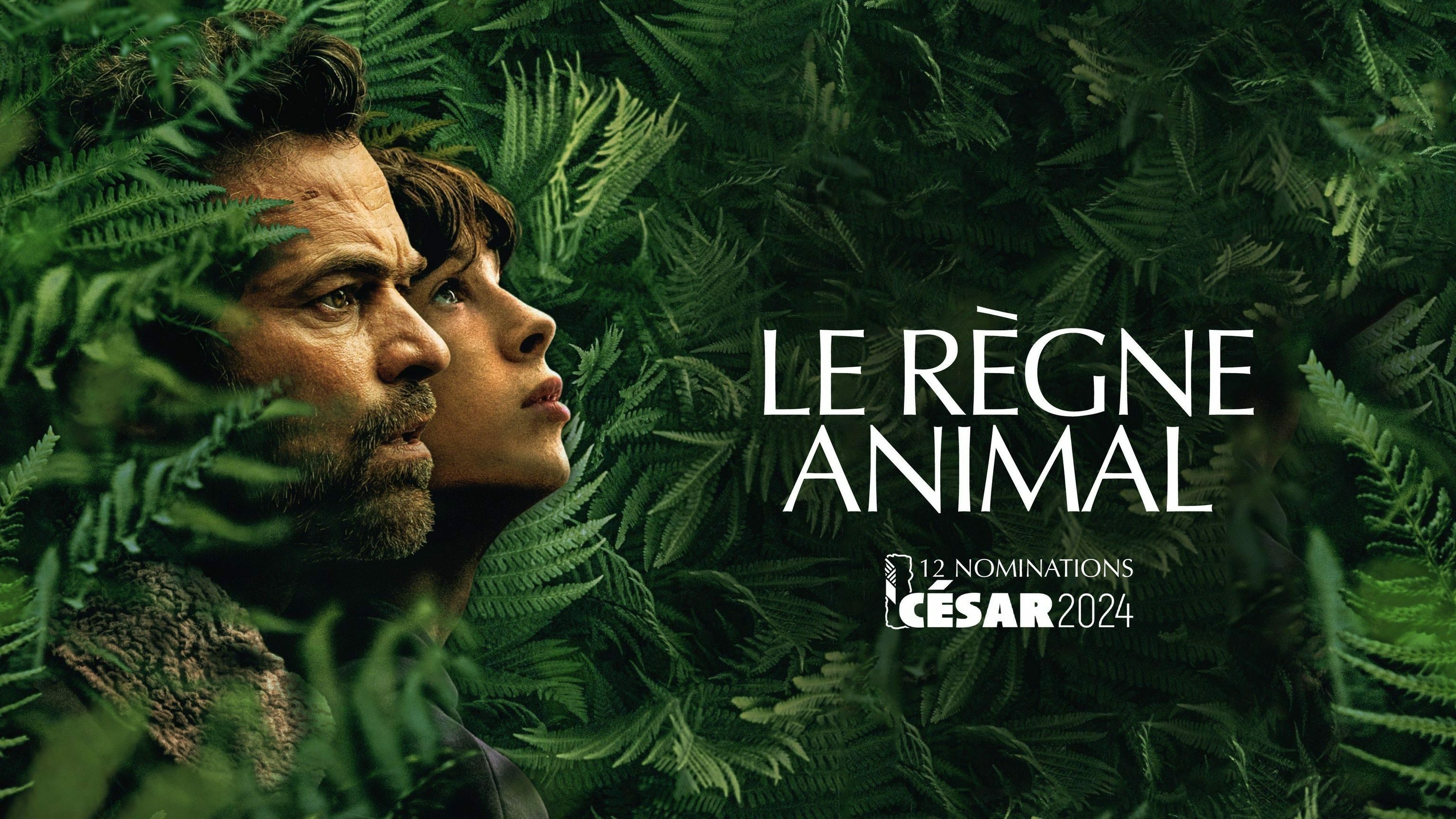 Le regne animal 0 2102ac4e0df390c8e3b78b681ee70a80 0