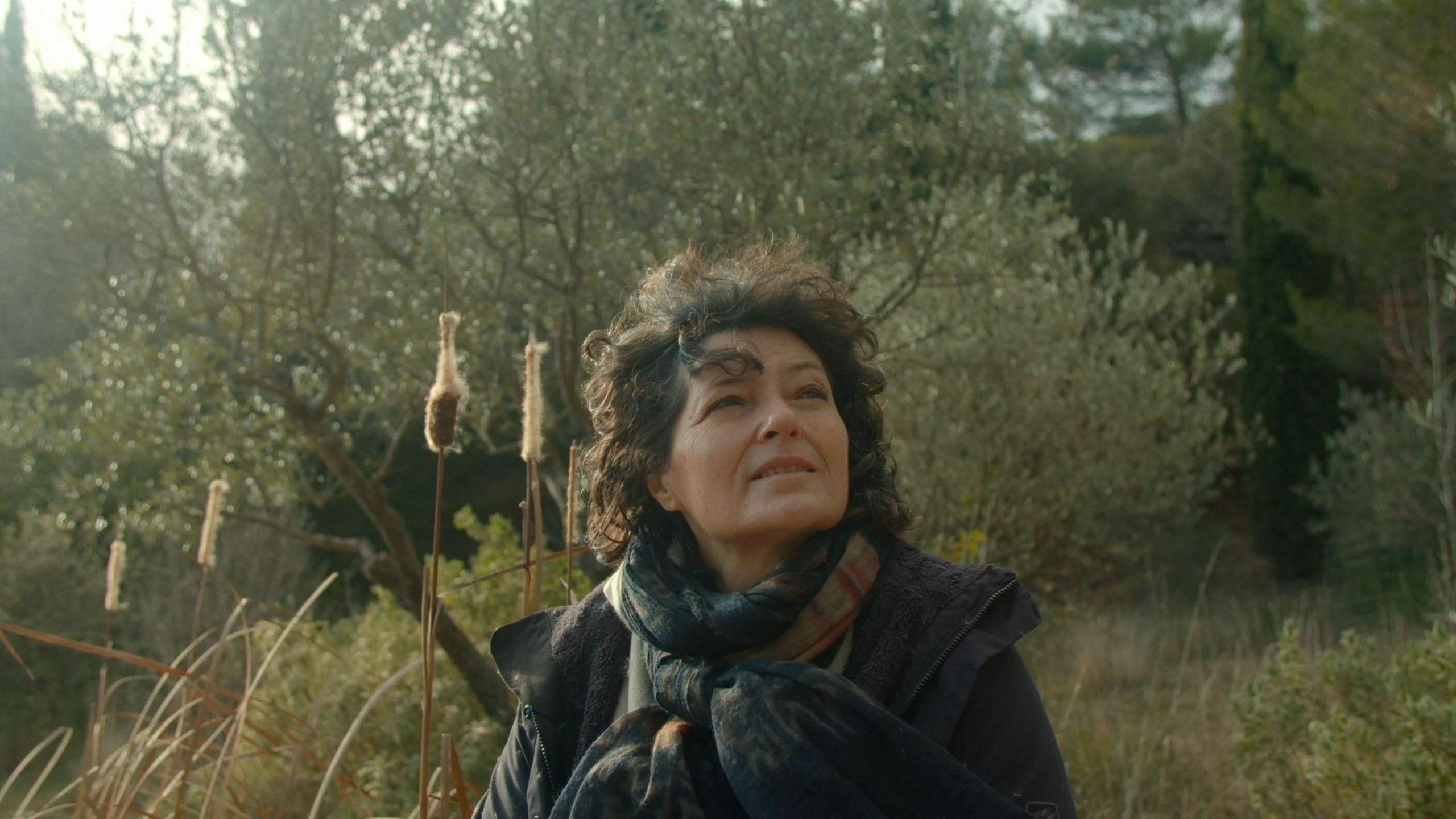 Leclipse de la lune rouge 0 c4097c0f978e461a73140995d29d5925 0