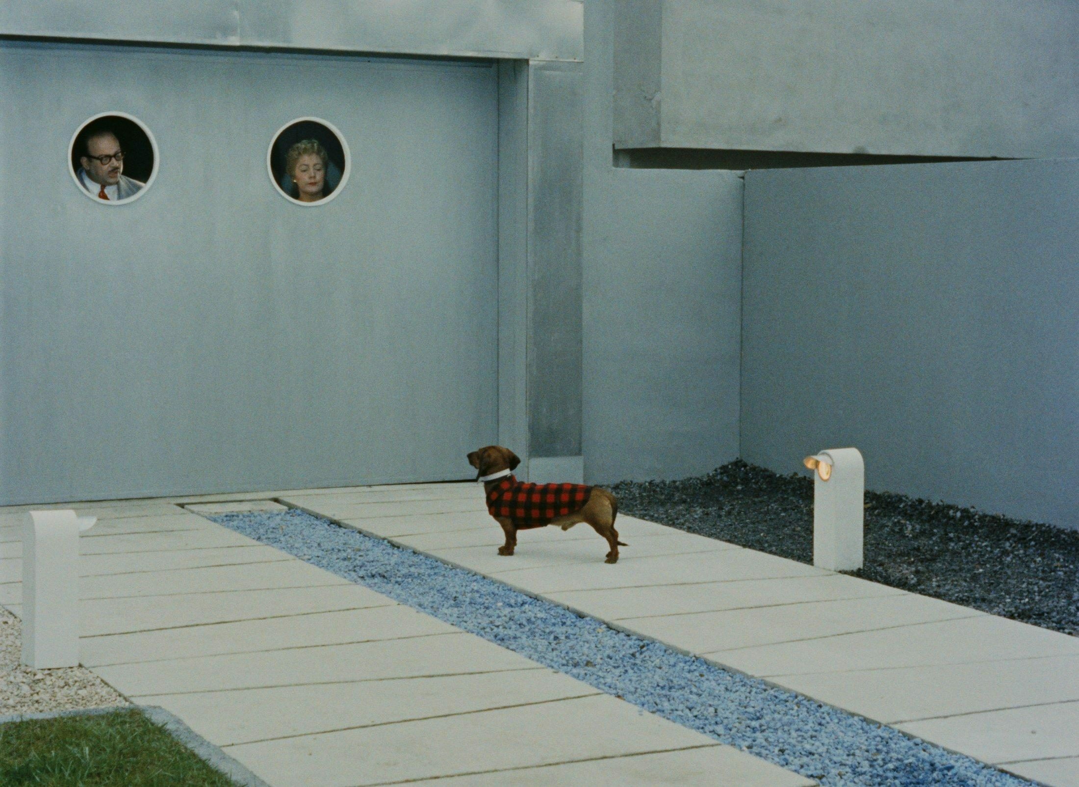 Mon oncle 0 a4bfcdf6d8a7f68c037f3c527a7f7aa5 0