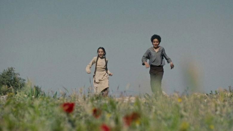 Palestine 36 0 4ba7de7abcf70a62a8e4f11730125c9a 0