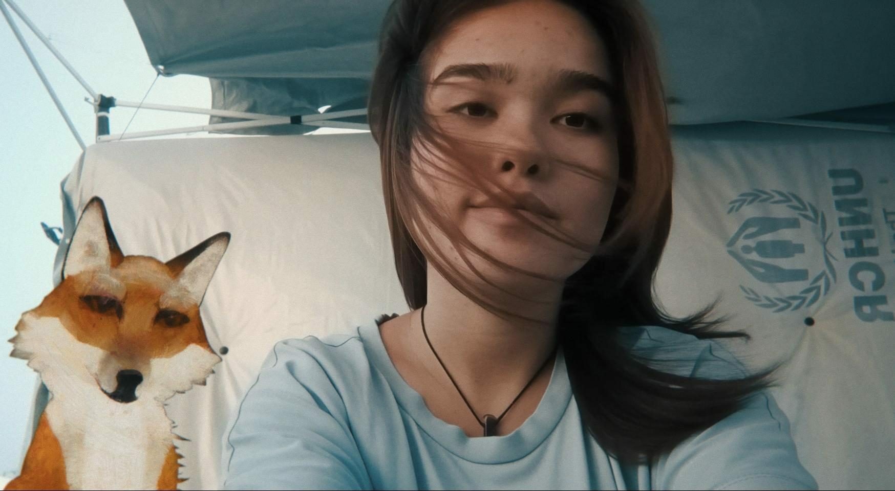 The fox under the pink moon 0 d44ef53ec9f6c59c7dd87f5758f6ef4c 0