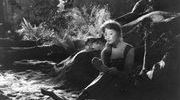 Lete dingmar bergman les fraises sauvages