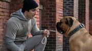 Avant premiere i play rocky