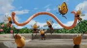 Dimanche des tout petits superasticot