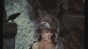 Focus jacques demy peau dane