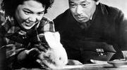 Retrospective akira kurosawa ikiru