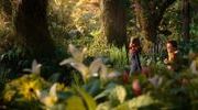 Toile et pinceaux wildwood la prophetie de la foret