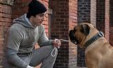 Avant premiere i play rocky