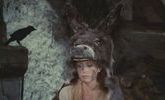 Focus jacques demy peau dane