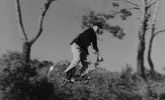 Focus jacques tati jour de fete