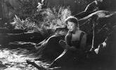 Lete dingmar bergman les fraises sauvages