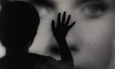 Lete dingmar bergman persona