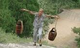 Seance speciale kill bill the whole bloody affair