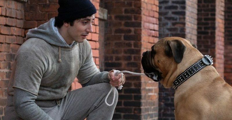 Avant premiere i play rocky