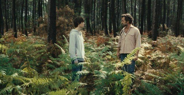 Cine audiodecrit le regne animal