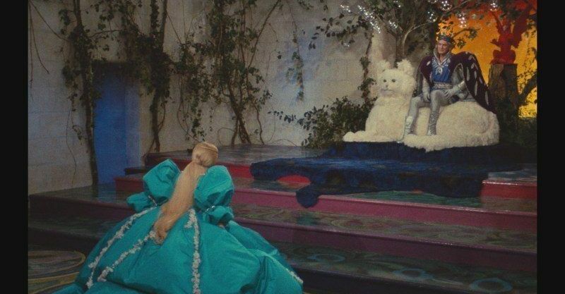 Focus jacques demy peau dane