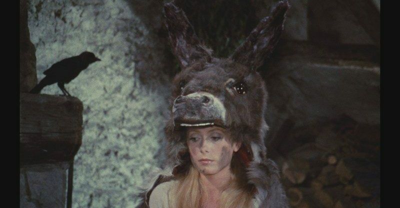 Focus jacques demy peau dane