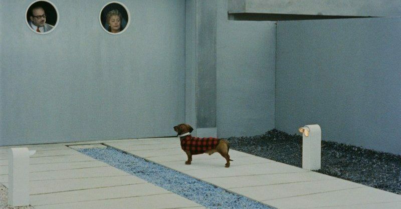 Focus jacques tati mon oncle