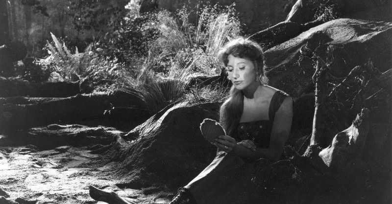 Lete dingmar bergman les fraises sauvages