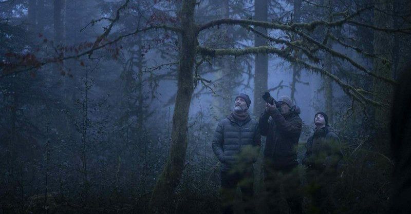 Seance speciale le chant des forets