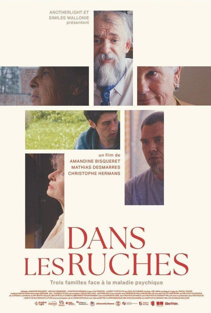 Affiche du film Dans les ruches