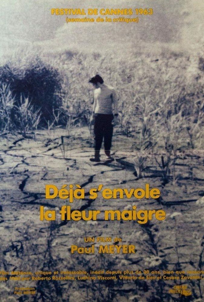 Deja senvole la fleur maigre