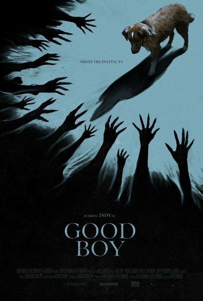 Affiche du film Good boy