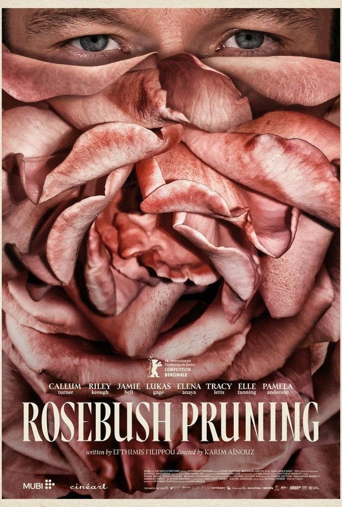 Rosebush pruning