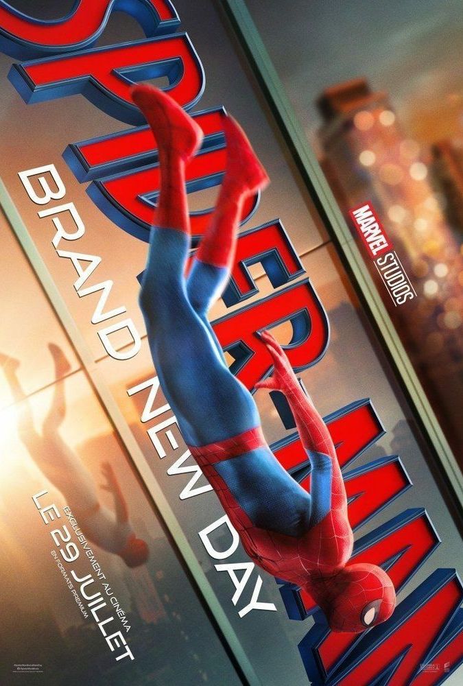 Affiche du film Spider man brand new day