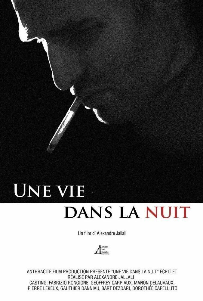 Affiche du film Une vie dans la nuit